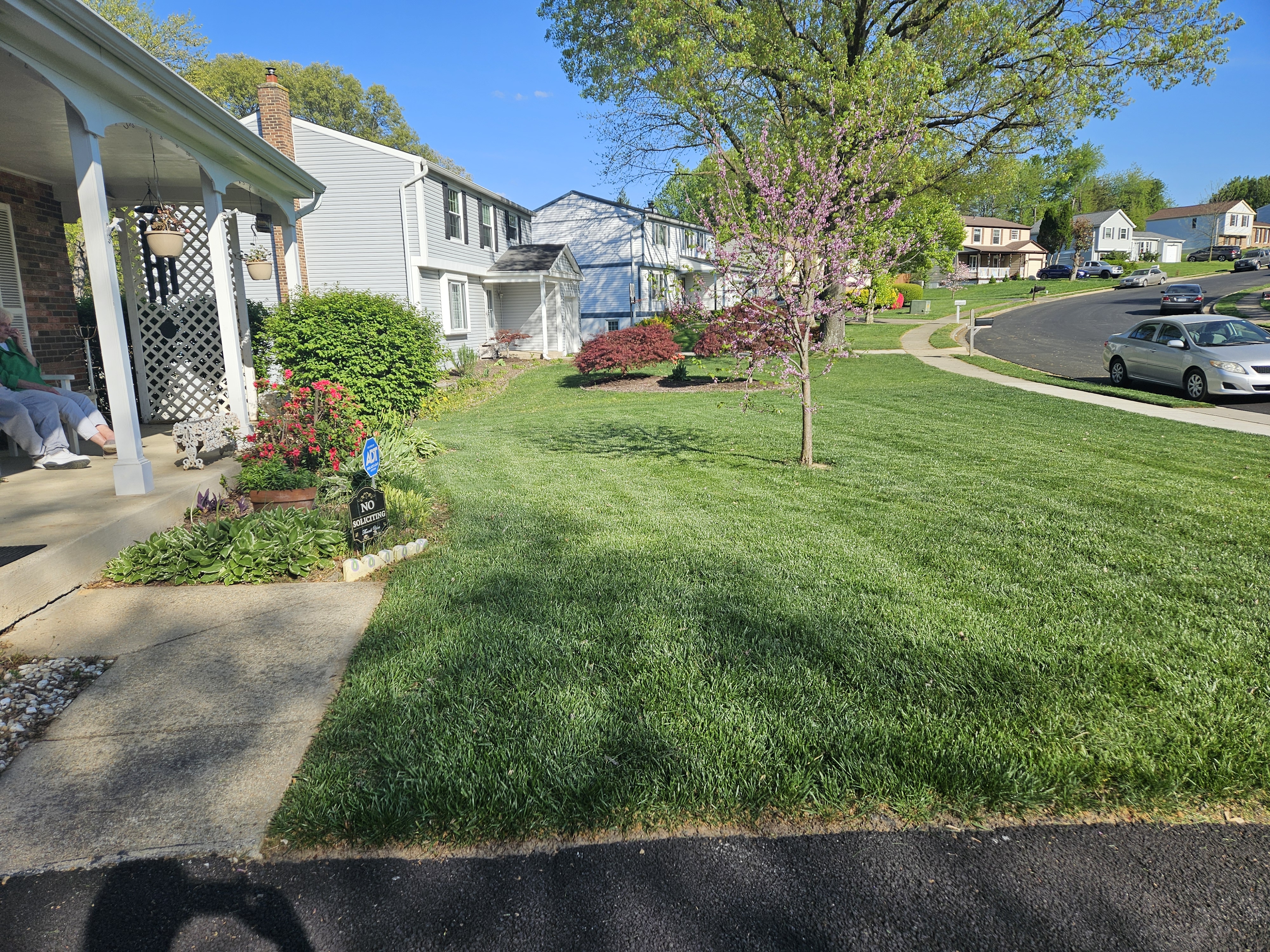Stunning manicured backyard landscape transformation